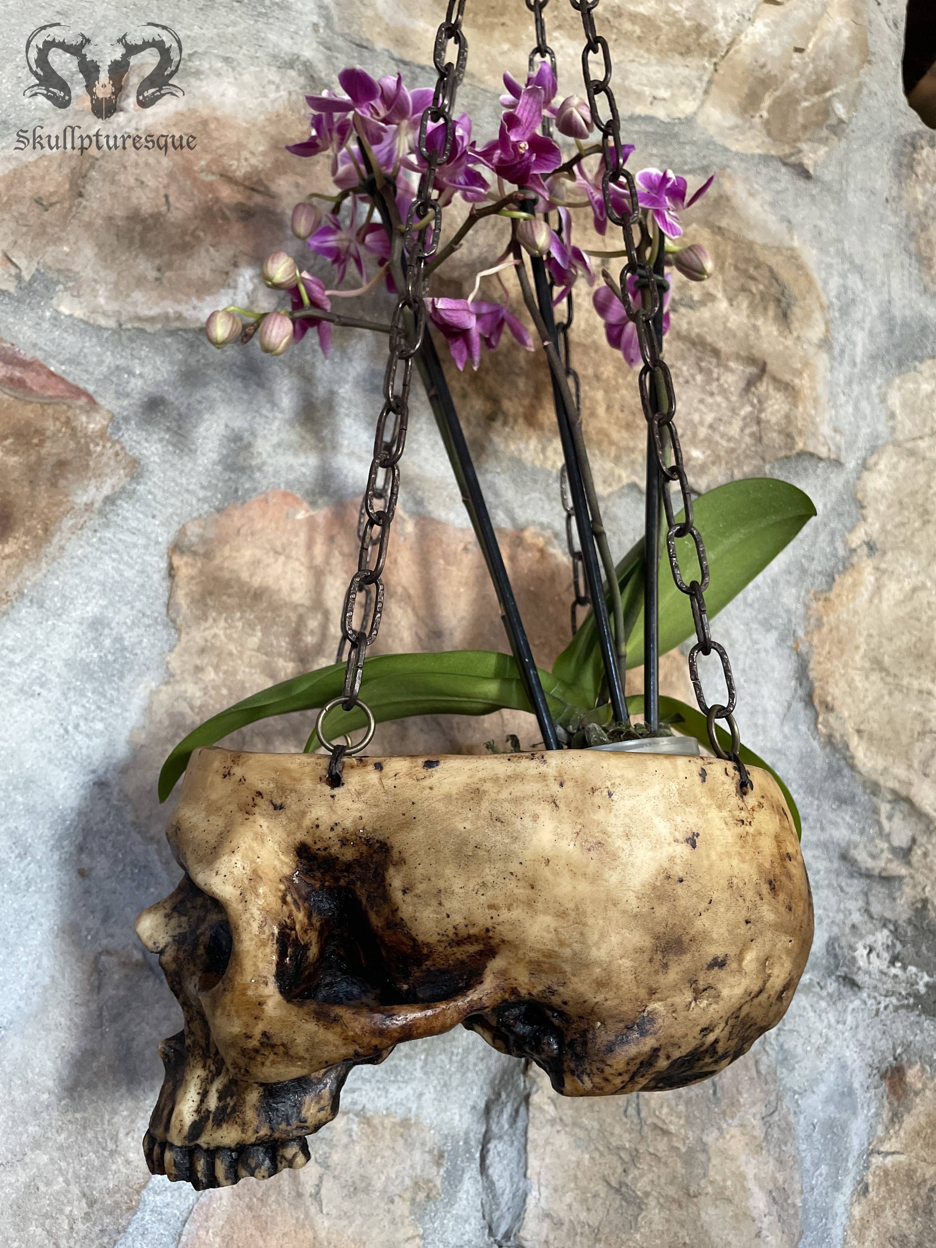 skull planter 2