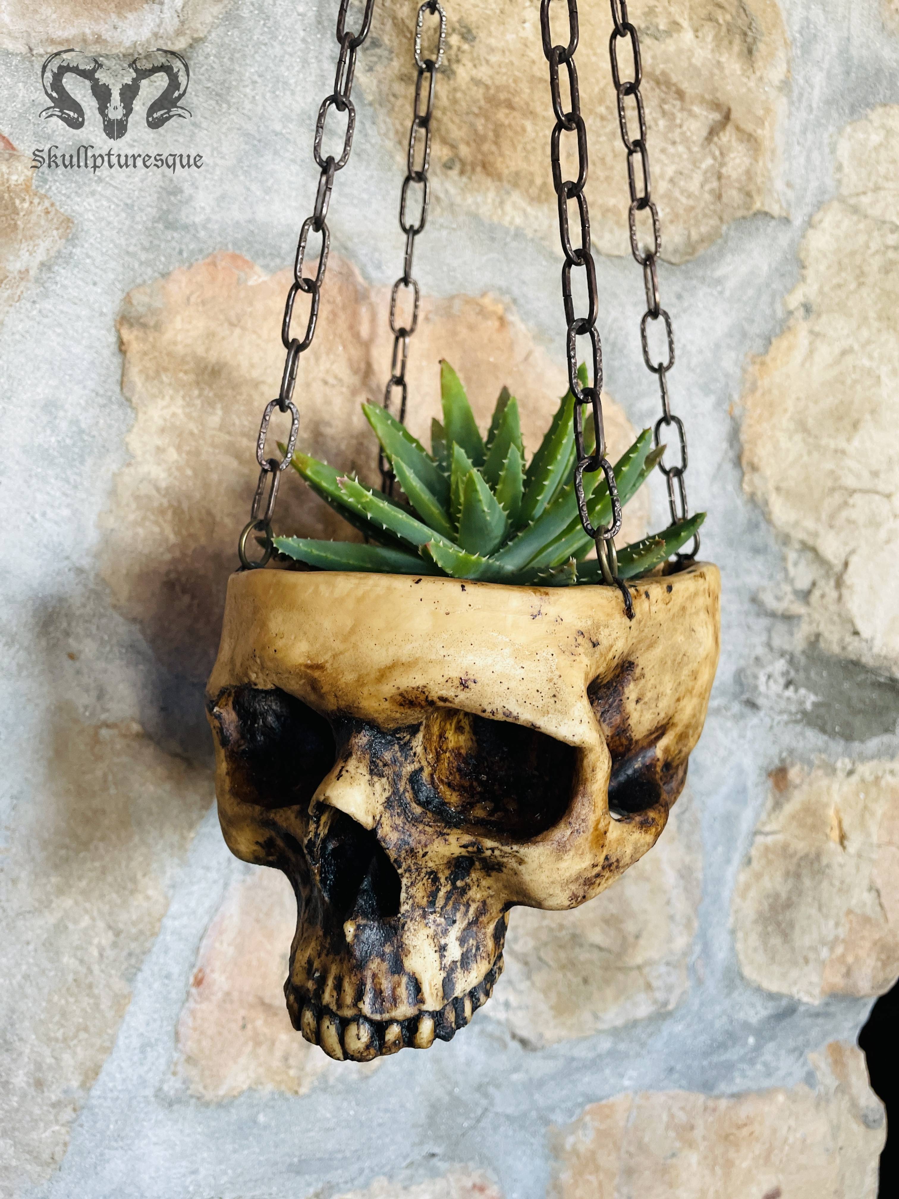 Skull planter 3