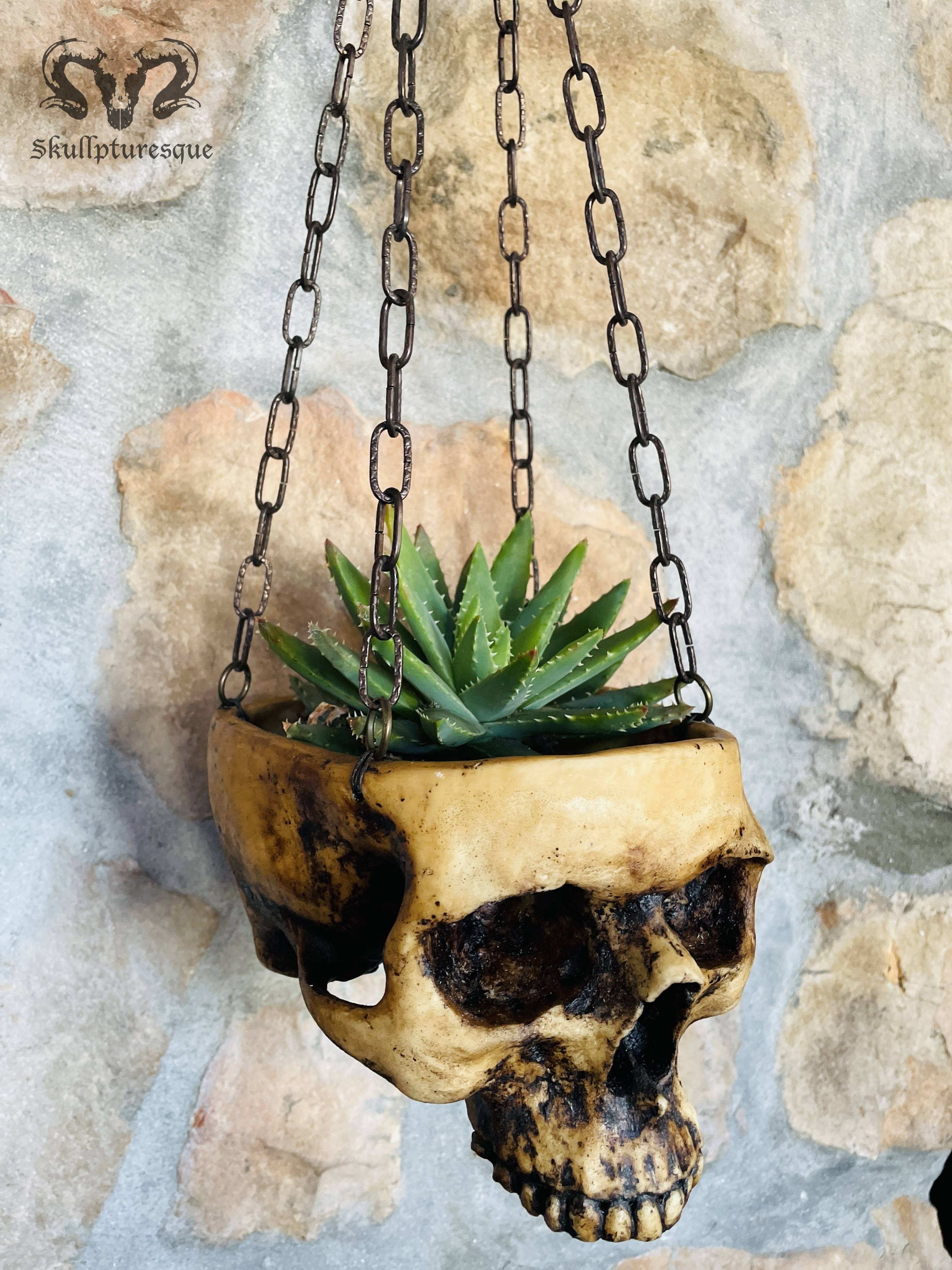 Skull planter 4