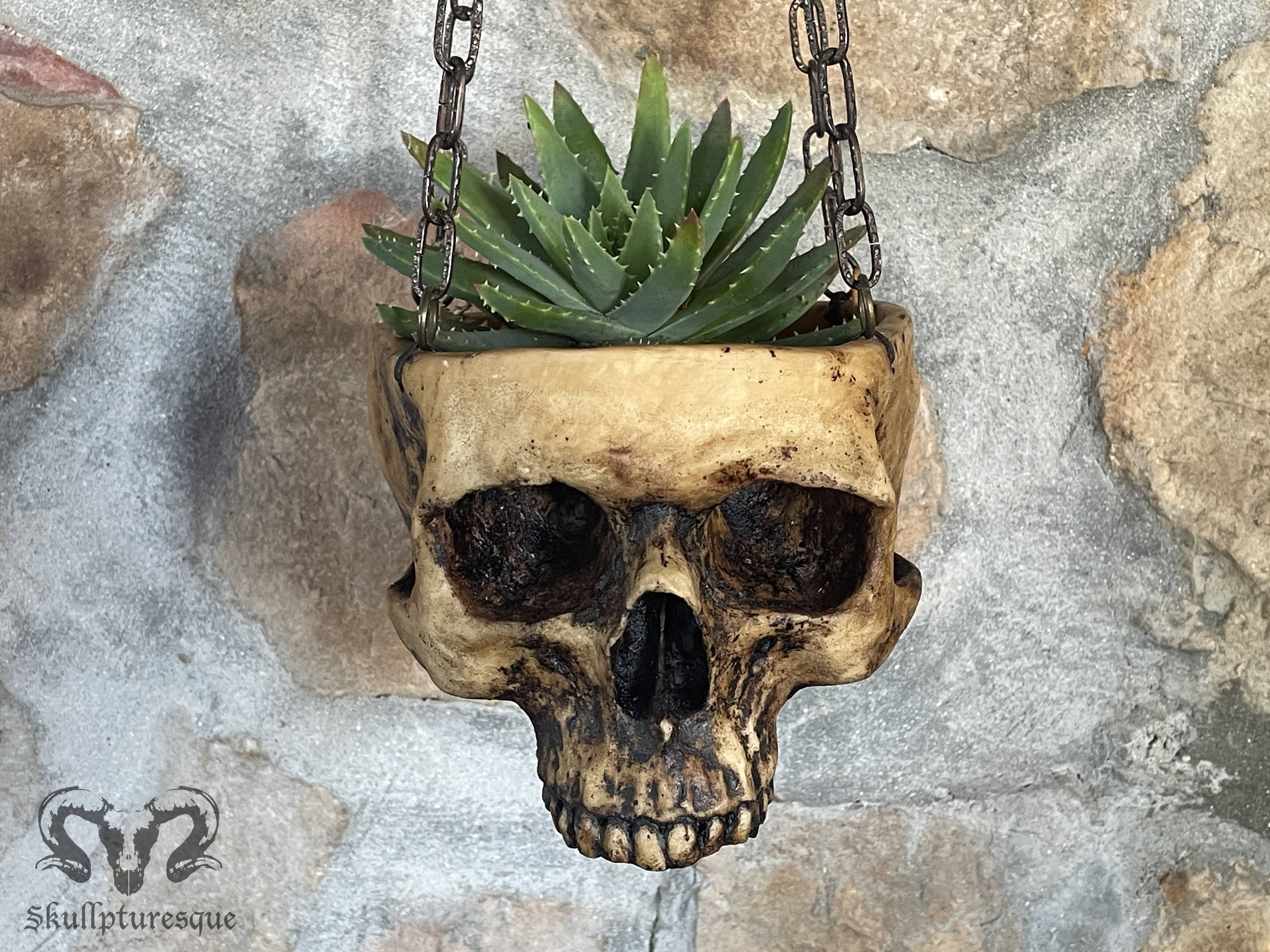 Skull planter 7